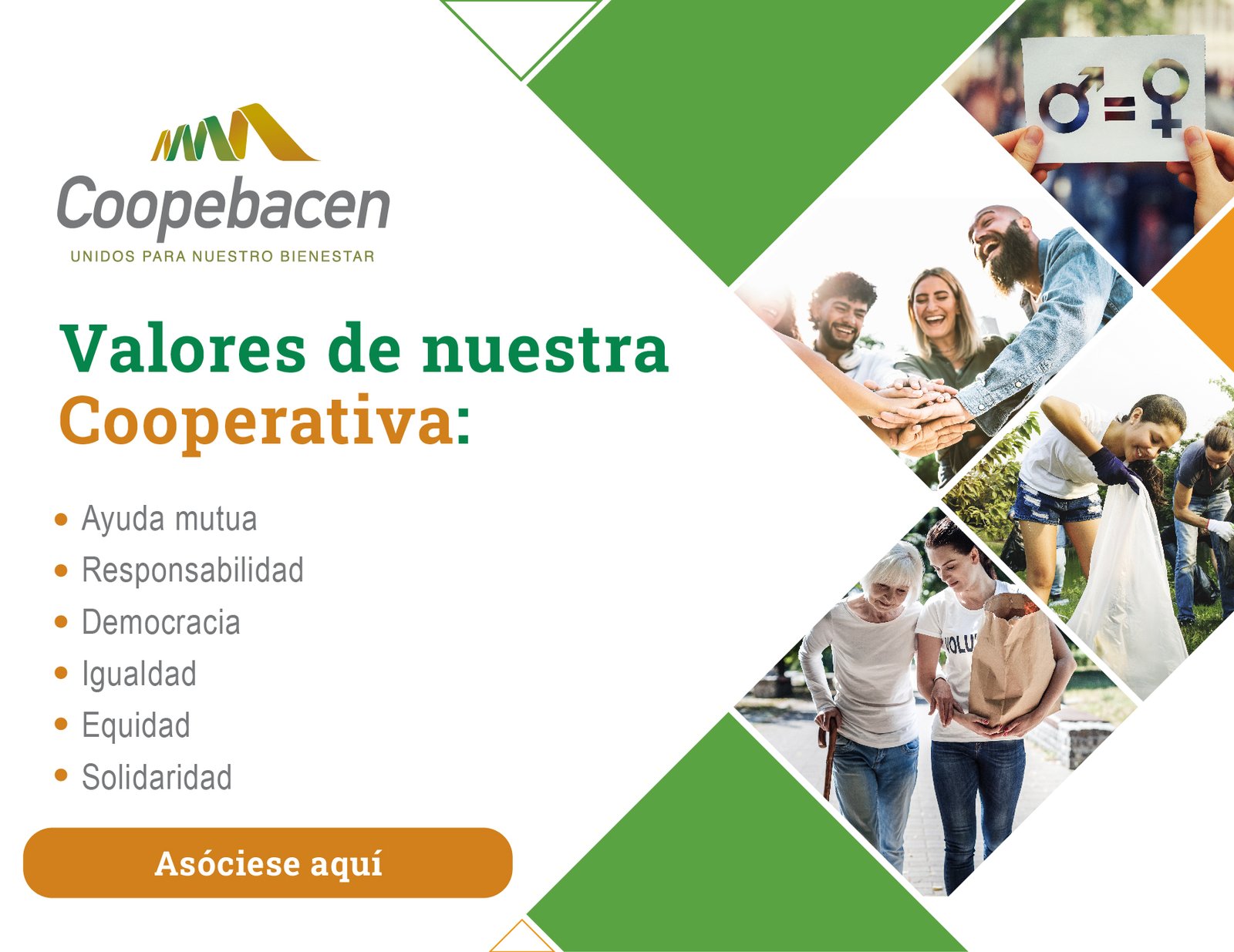 Coopebacen - Muestra 4