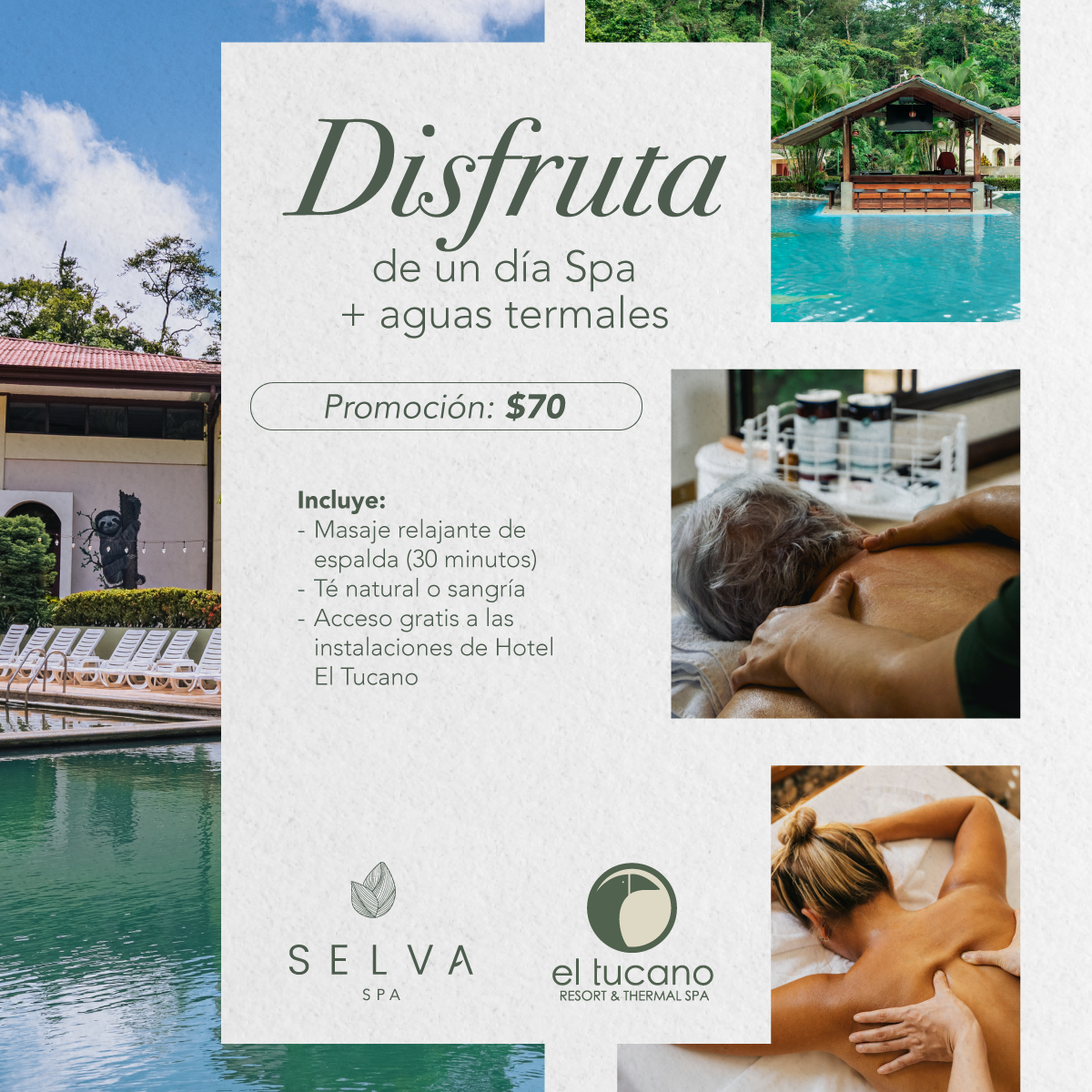 Selvaspa - Muestra 7